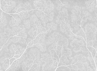 Фотообои CROWNS 2, FLORA, Factura Фотообои CROWNS 2, FLORA, Factura