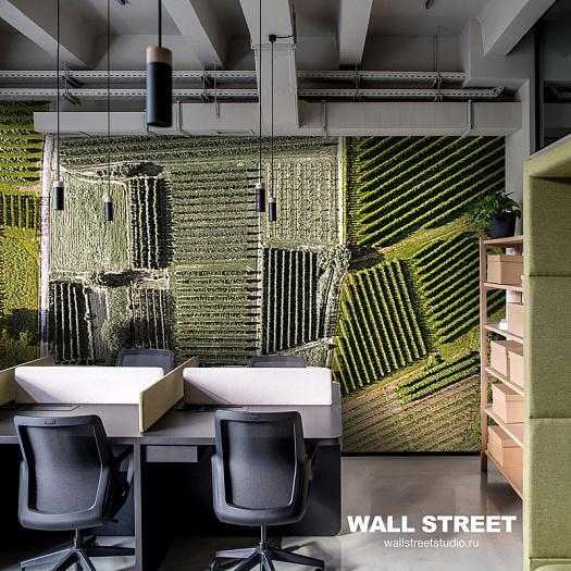 Фотообои в интерьере артикул Bird see 3, BIRD SEE, Wall street