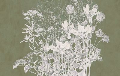 Фотообои PASCOLO 5, FLORA, Factura Фотообои PASCOLO 5, FLORA, Factura