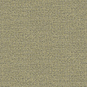 W05 50464