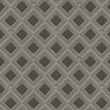 Gianfranco Ferre Ferre Home 3 62061