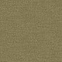 W05 50466