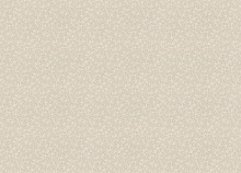 Rasch Novella 983173