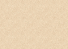 Оранжевые обои в прихожую Zambaiti Trussardi VIII Z30347